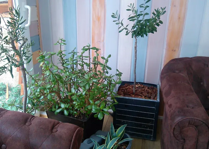 Restaurant Le Martagon